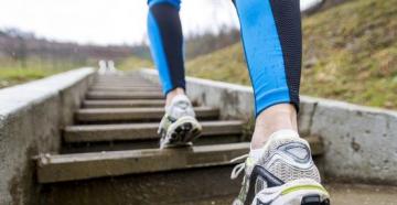 Польза ходьбы по лестнице: как и сколько ходить, чтобы похудеть и улучшить здоровье