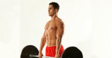 Какие мышцы задействованны при становой тяге